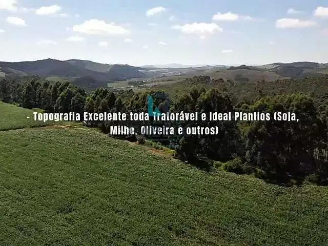 Fazenda venda em Região Geográfica Imediata de Caxambu - Baependi, Aiuruoca