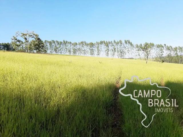 Fazenda venda em Região Geográfica Imediata de Caxambu - Baependi, Aiuruoca