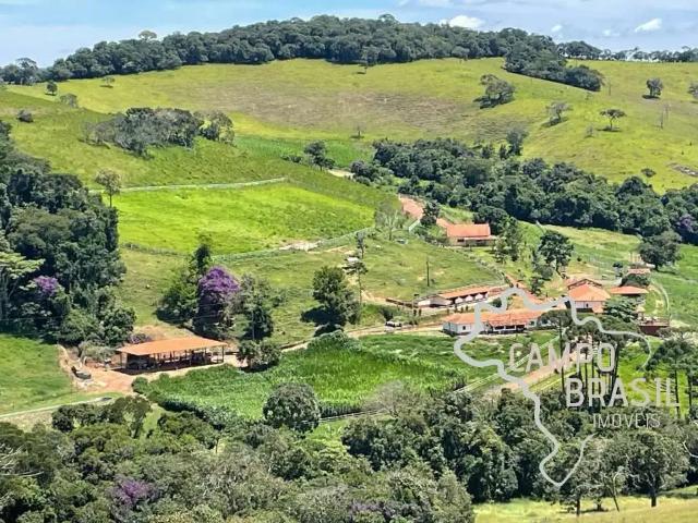 Fazenda venda em Região Geográfica Imediata de Caxambu - Baependi, Aiuruoca