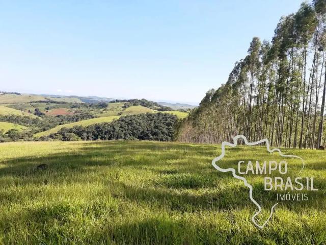 Fazenda venda em Região Geográfica Imediata de Caxambu - Baependi, Aiuruoca