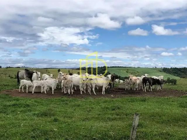 Fazenda venda em Região Imediata de Itapetininga, Região Metropolitana de Sorocaba