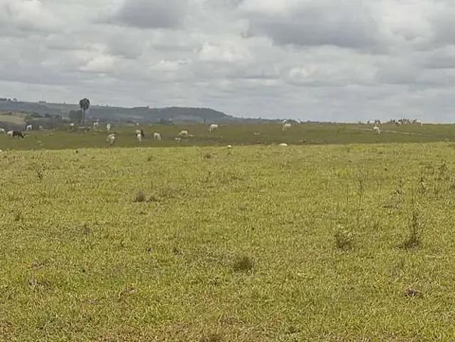 Fazenda venda em Região Imediata de Itapetininga, Região Metropolitana de Sorocaba