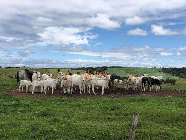 Fazenda venda em Alambari, Tatetu