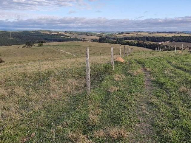 Fazenda venda em Alambari, Alambari