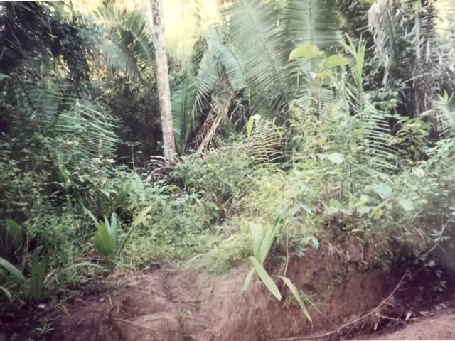 Fazenda venda em Aldeias Altas, Região Nordeste