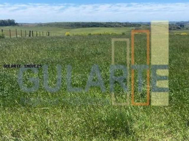 Sítio e chácara venda em Região Geográfica Imediata de Uruguaiana, Alegrete