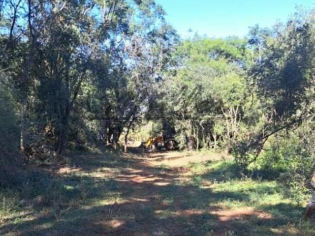 Sítio e chácara venda em Região Geográfica Imediata de Uruguaiana, Alegrete