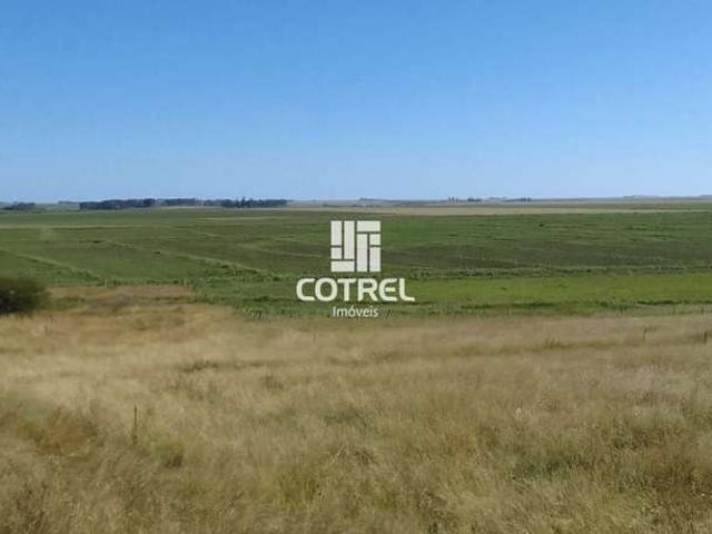 Fazenda venda em Região Geográfica Imediata de Uruguaiana, Alegrete