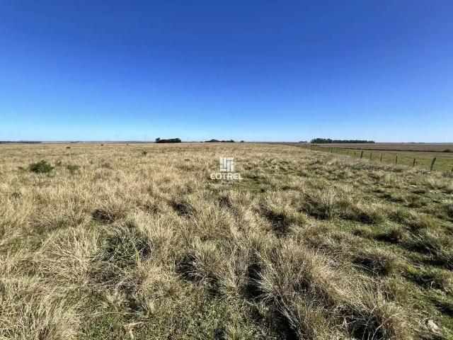 Fazenda venda em Região Geográfica Imediata de Uruguaiana, Alegrete