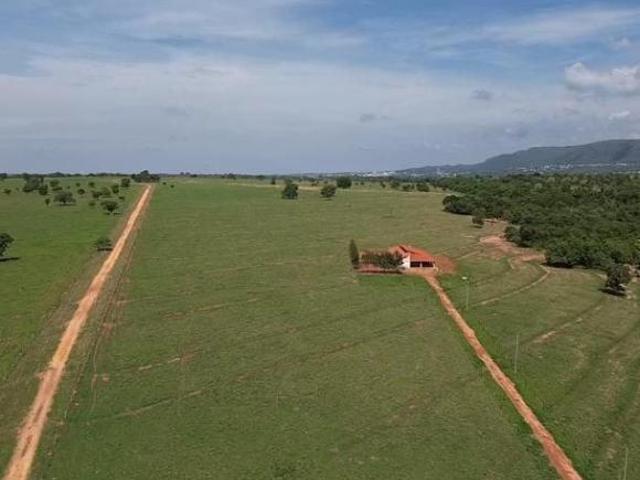 Sítio e chácara venda em Quirinópolis, Região Geográfica Intermediária de Rio Verde