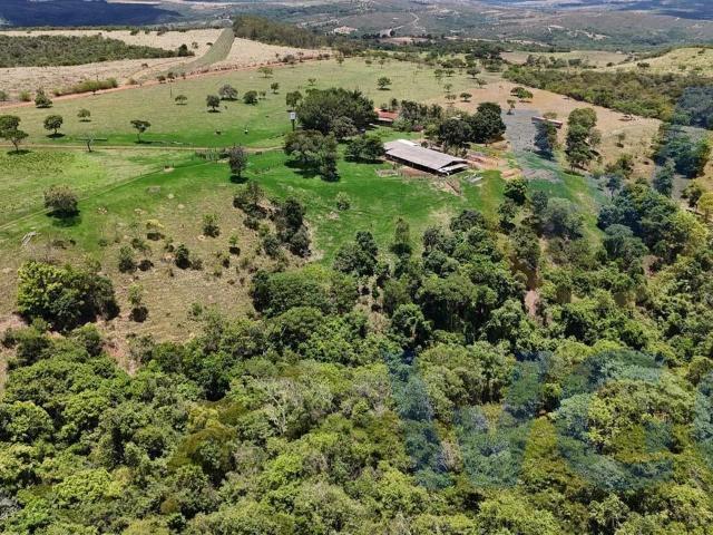 Fazenda venda em Alexânia, Região Geográfica Intermediária de Goiânia