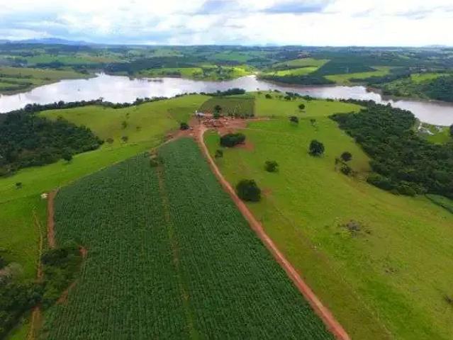 Fazenda venda em Região Geográfica Imediata de Alfenas, Alfenas