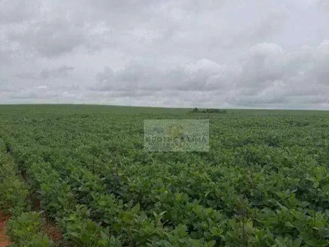 Fazenda venda em Região Geográfica Imediata de Alfenas, Alfenas