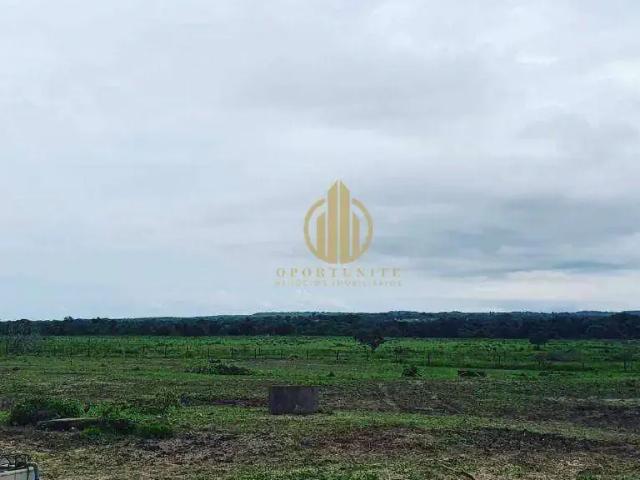 Fazenda venda em Região Geográfica Imediata de Gurupi, Aliança do Tocantins