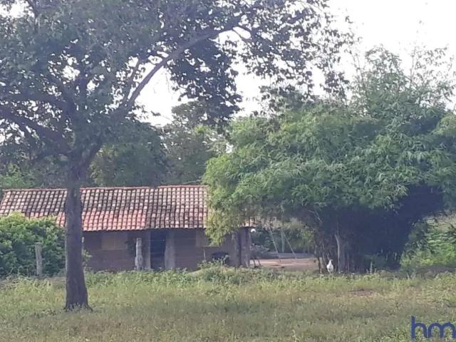 Fazenda venda em Região Geográfica Imediata de Iturama, União de Minas