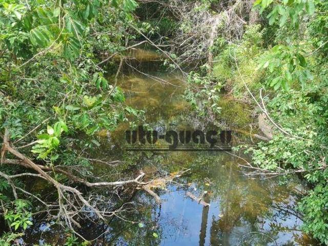 Fazenda venda em Região Geográfica Imediata de Dianópolis, Almas