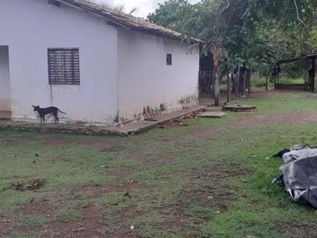 Fazenda venda em Região Geográfica Imediata de Iturama, Carneirinho