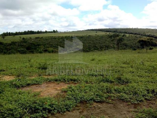 Sítio e chácara venda em Almenara, Região Sudeste
