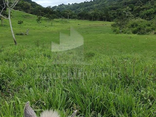 Sítio e chácara venda em Almenara, Região Sudeste
