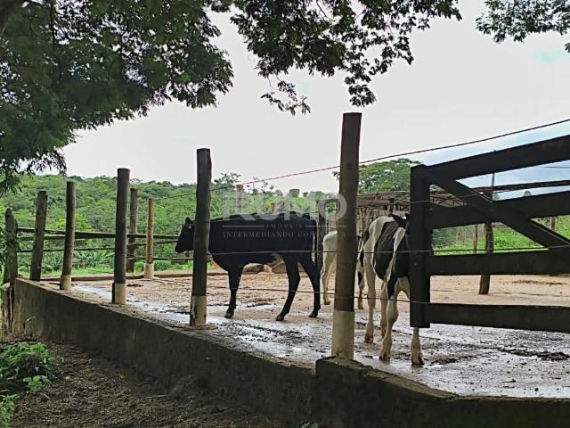 Fazenda venda em Setor Central, Uberlândia