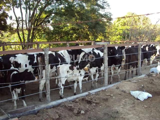 Fazenda venda em Região Geográfica Imediata de Passos, Alpinópolis