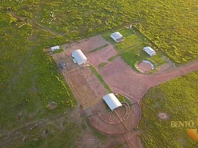 Fazenda venda em Setor H, Alta Floresta