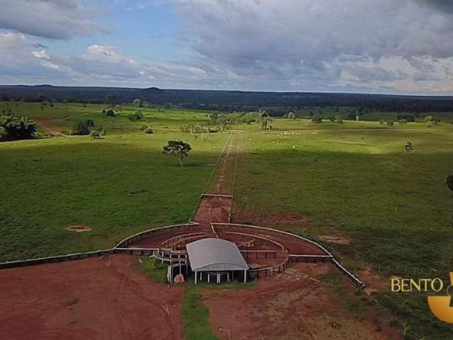 Fazenda venda em Setor B, Alta Floresta