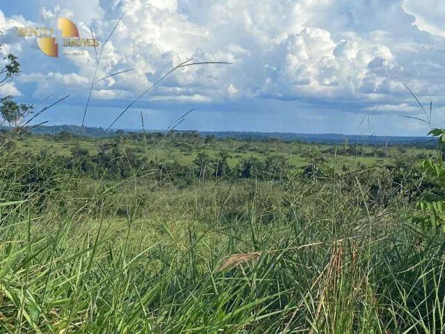 Fazenda venda em Região Geográfica Imediata de Cuiabá, Região Metropolitana do Vale do Rio Cuiabá