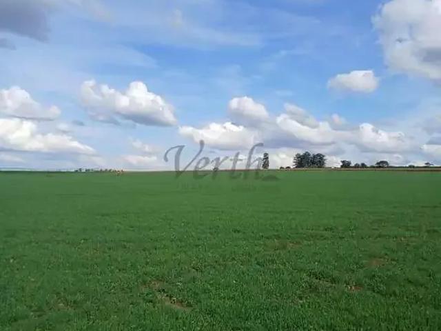 Fazenda venda em Região Geográfica Imediata de Alfenas, Alterosa