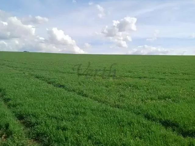 Fazenda venda em Região Geográfica Imediata de Alfenas, Alterosa