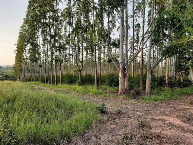 Sítio e chácara venda em Altinópolis, Região Geográfica Intermediária de Ribeirão Preto