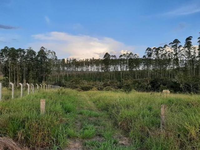 Sítio e chácara venda em Região Imediata de Ribeirão Preto, Região Metropolitana de Ribeirão Preto