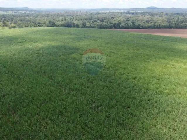 Fazenda venda em Região Imediata de Ribeirão Preto, Região Metropolitana de Ribeirão Preto