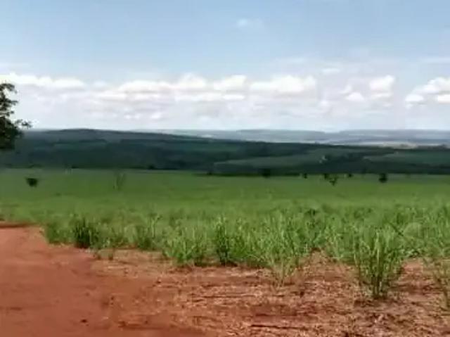 Fazenda venda em Região Imediata de Ribeirão Preto, Região Metropolitana de Ribeirão Preto