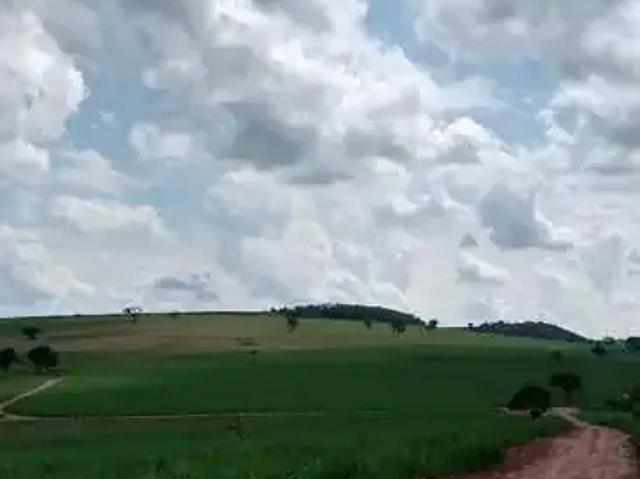 Fazenda venda em Região Imediata de Ribeirão Preto, Região Metropolitana de Ribeirão Preto