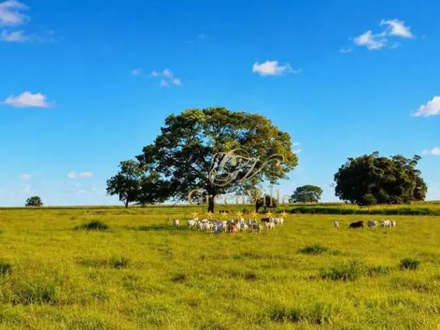 Fazenda venda em Região Geográfica Imediata de Rondonópolis, Alto Araguaia