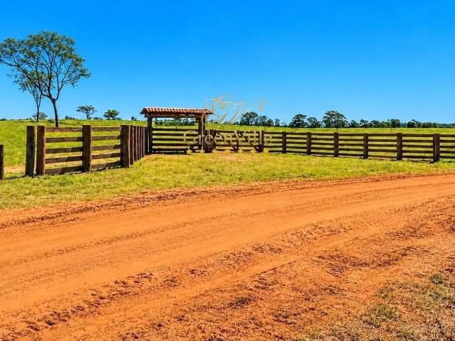 Fazenda venda em Alto Araguaia, Região Geográfica Intermediária de Rondonópolis