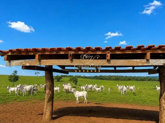 Fazenda venda em Região Geográfica Imediata de Rondonópolis, Alto Araguaia