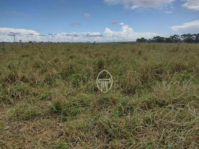 Fazenda venda em Região Geográfica Imediata de Rondonópolis, Alto Araguaia