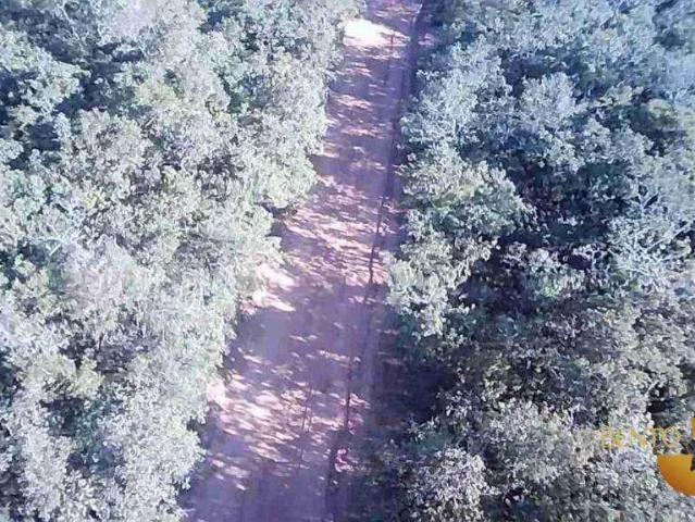Fazenda venda em Região Geográfica Imediata de Rondonópolis, Alto Araguaia
