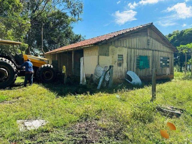 Fazenda venda em Região Geográfica Imediata de Rondonópolis, Alto Araguaia