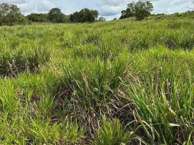 Fazenda venda em Região Geográfica Imediata de Rondonópolis, Alto Araguaia