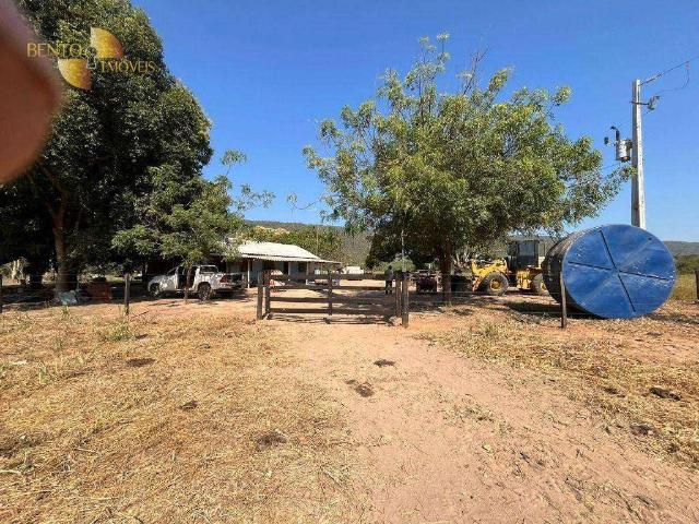 Fazenda venda em Alto Araguaia, Região Geográfica Intermediária de Rondonópolis
