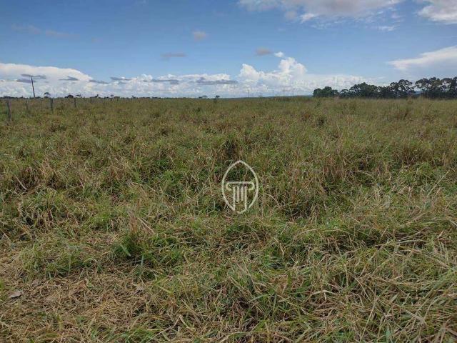 Fazenda venda em Alto Araguaia, Região Geográfica Intermediária de Rondonópolis