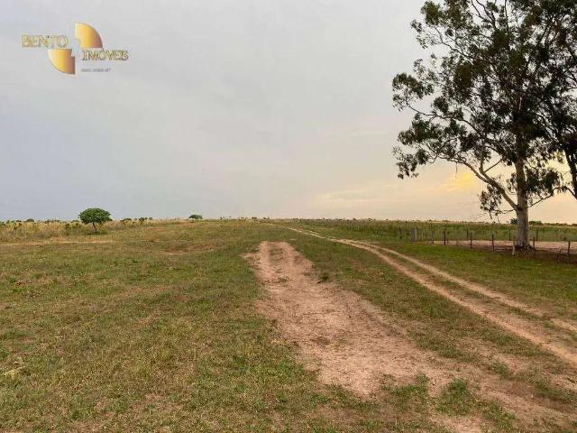 Fazenda venda em Região Geográfica Imediata de Rondonópolis, Alto Araguaia