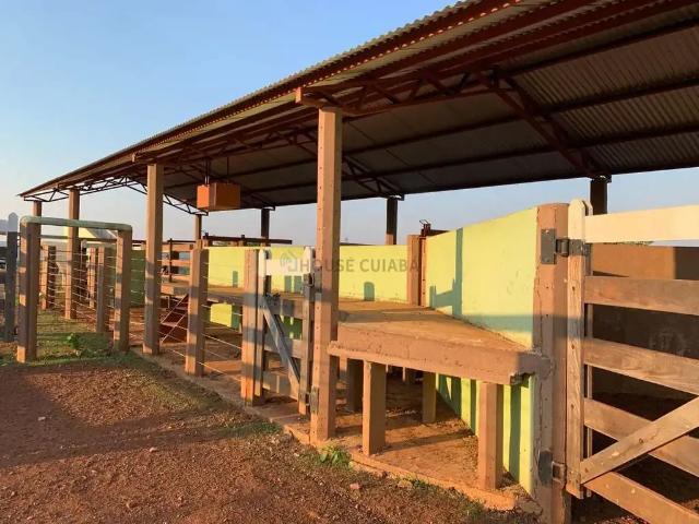 Fazenda venda em Região Geográfica Imediata de Confresa - Vila Rica, Alto Boa Vista