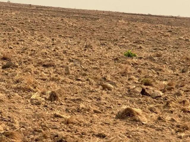 Fazenda venda em Região Geográfica Imediata de Confresa - Vila Rica, Alto Boa Vista