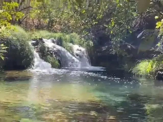 Fazenda venda em Região Geográfica Imediata de Flores de Goiás, Alto Paraíso de Goiás