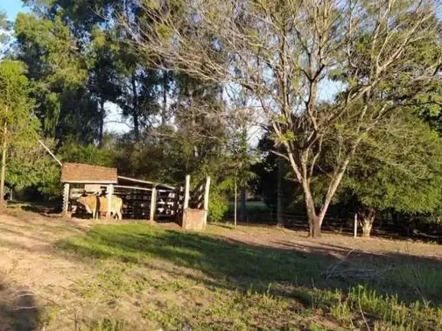 Fazenda venda em Região Geográfica Imediata de Paranavaí, Alto Paraná