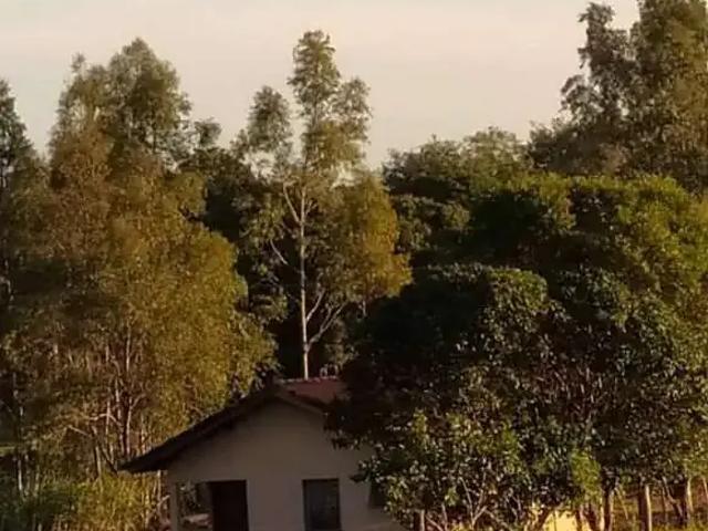 Fazenda venda em Região Geográfica Imediata de Paranavaí, Alto Paraná